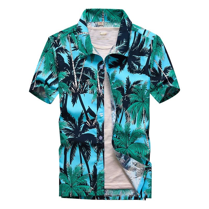 Shirts and Tees